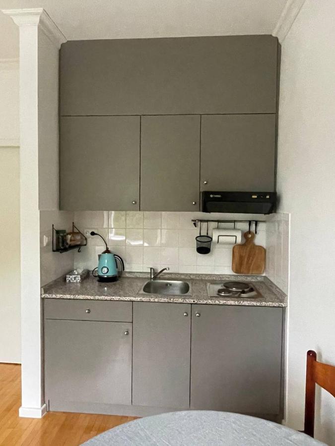 Apartment VilaPark 14 Rogaska Slatina Bagian luar foto